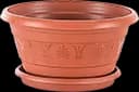 2 No Violet Planter