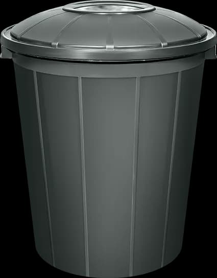 50 L Anthracite Trash Can