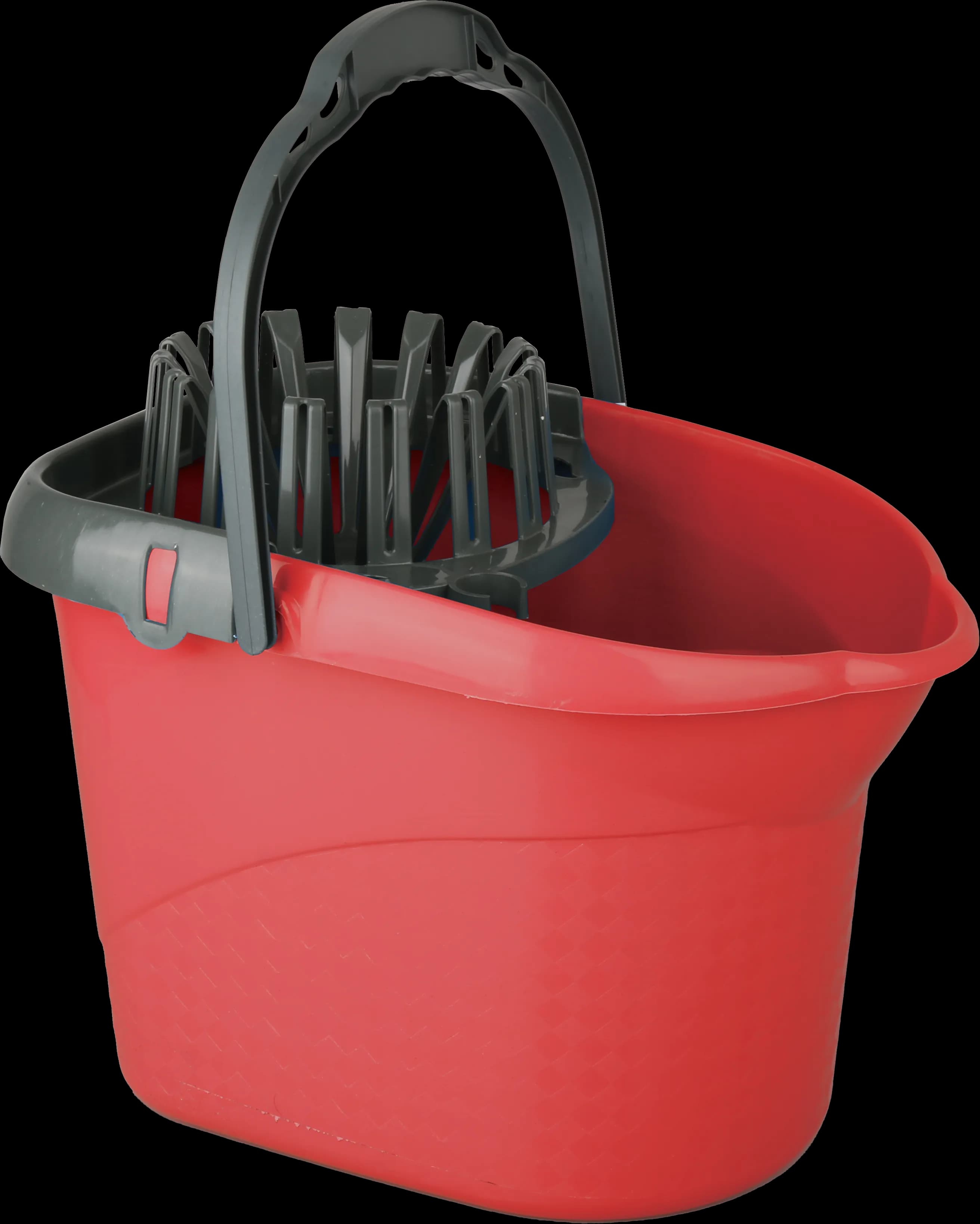 Luxury Cleaning Bucket & Mop